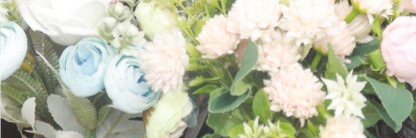 Chirin | ENVtuber's banner