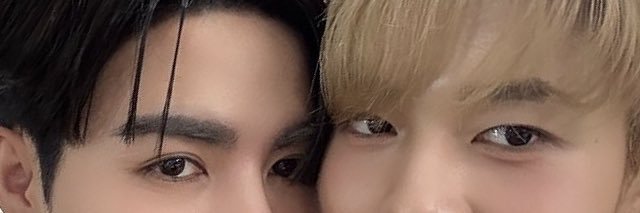 ✦'s banner