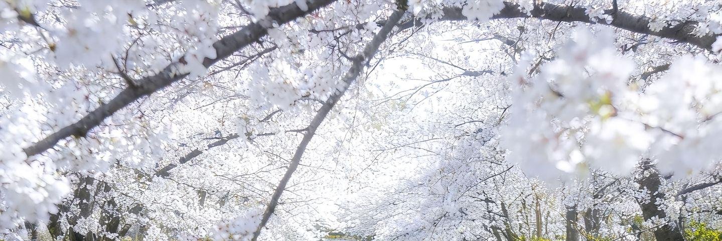 小粥粥's banner