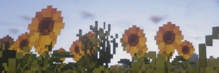 vri 🌻's banner