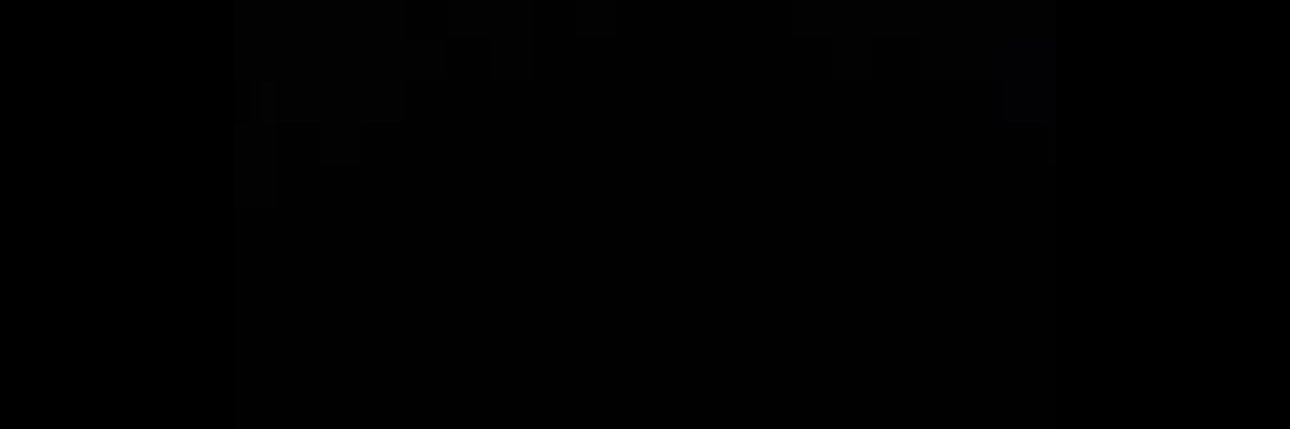Twis Leen's banner