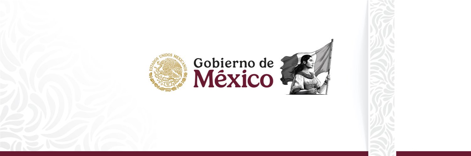 SALUD México's banner