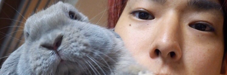 ひろかず@04LS🐕🐇🎸😗's banner