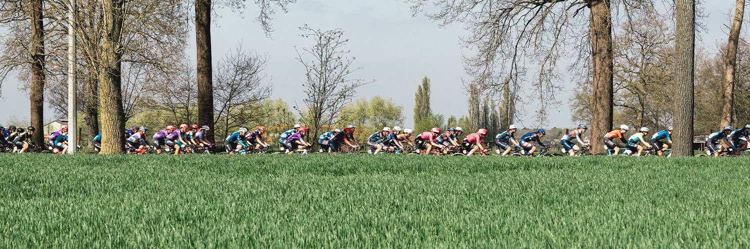Scheldeprijs's banner