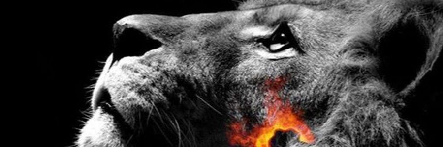 yasoo's banner