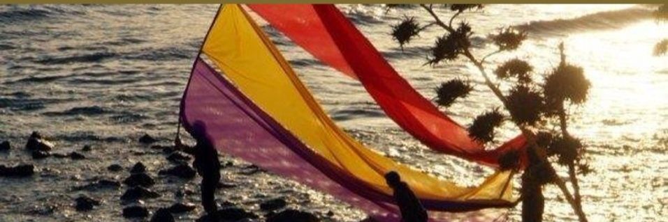 M. Marcos's banner
