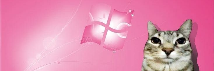 s's banner