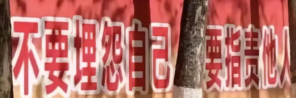 我不想长胖's banner