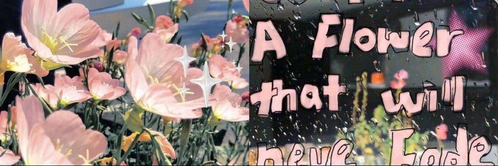𓆩𓂃𝓲𝓽𝓼𝓶𝓮_𝓪𝔂𝓭𝓪 ꫂ ၴႅ𓂃𓆪's banner