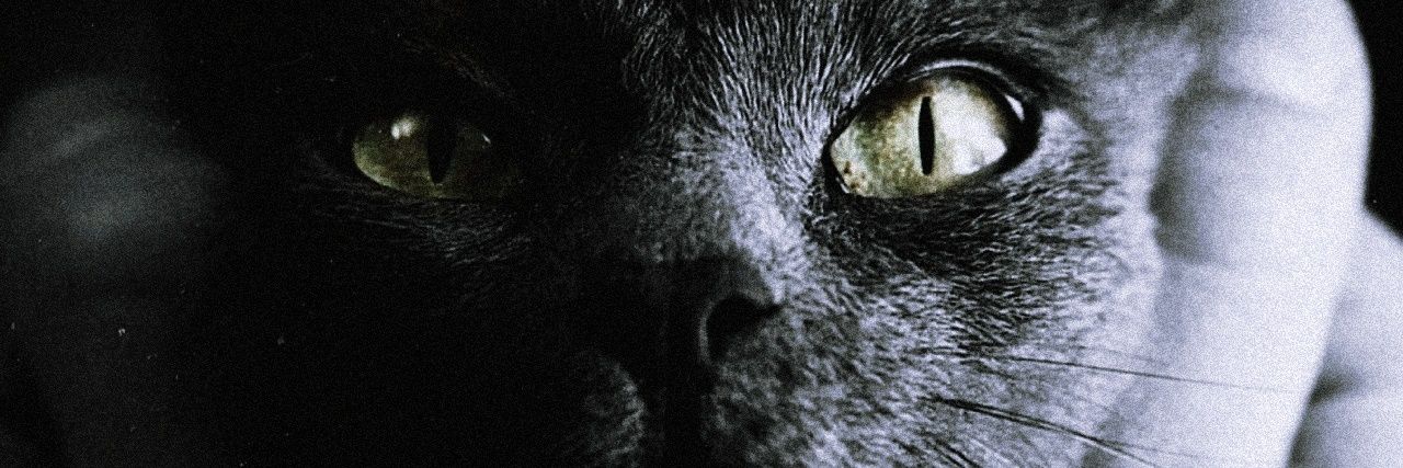 sam is w i t h e r i n g 🥀's banner