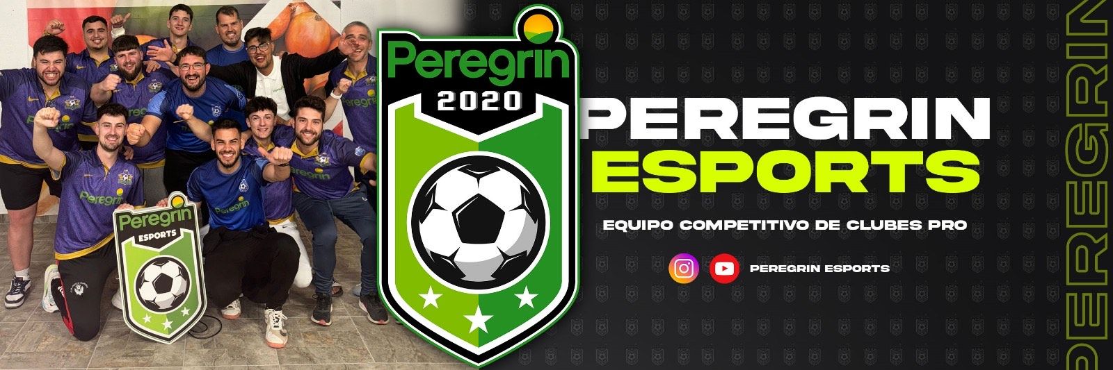 Peregrín eSports's banner