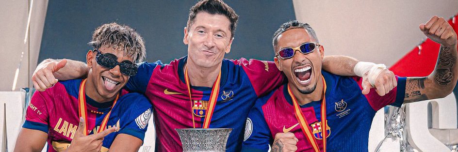 Leo Steve's banner