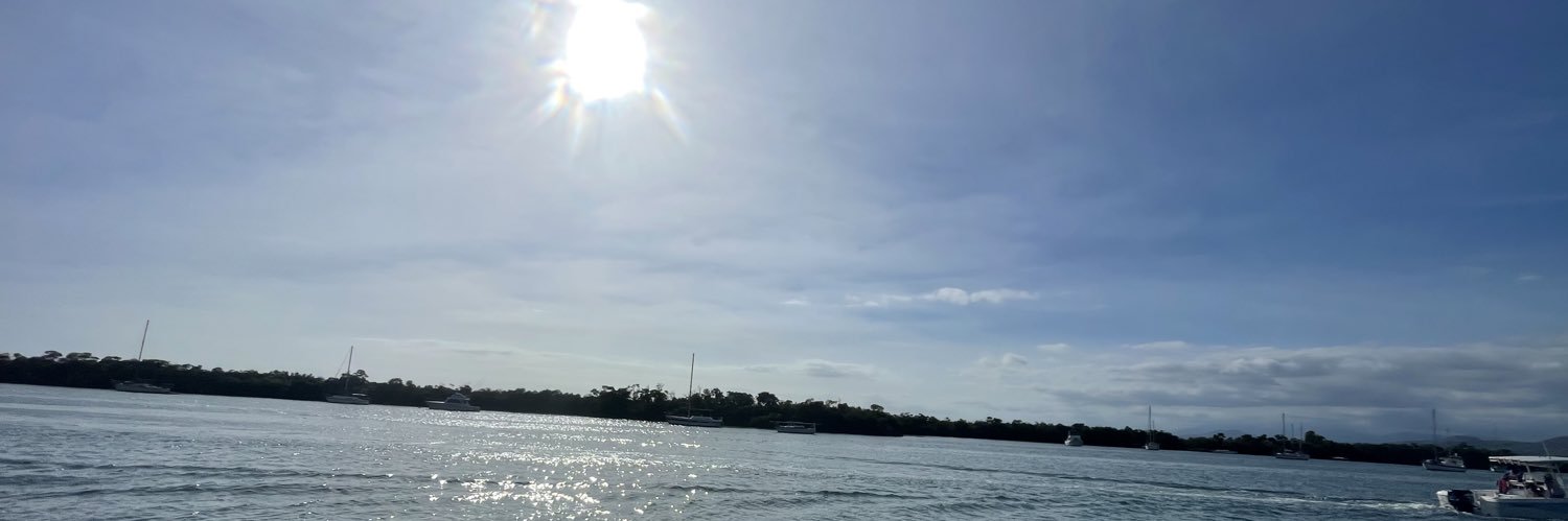 Moi's banner