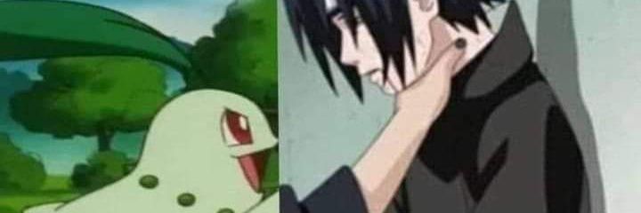 T H ˢᶜᶜᵖ's banner