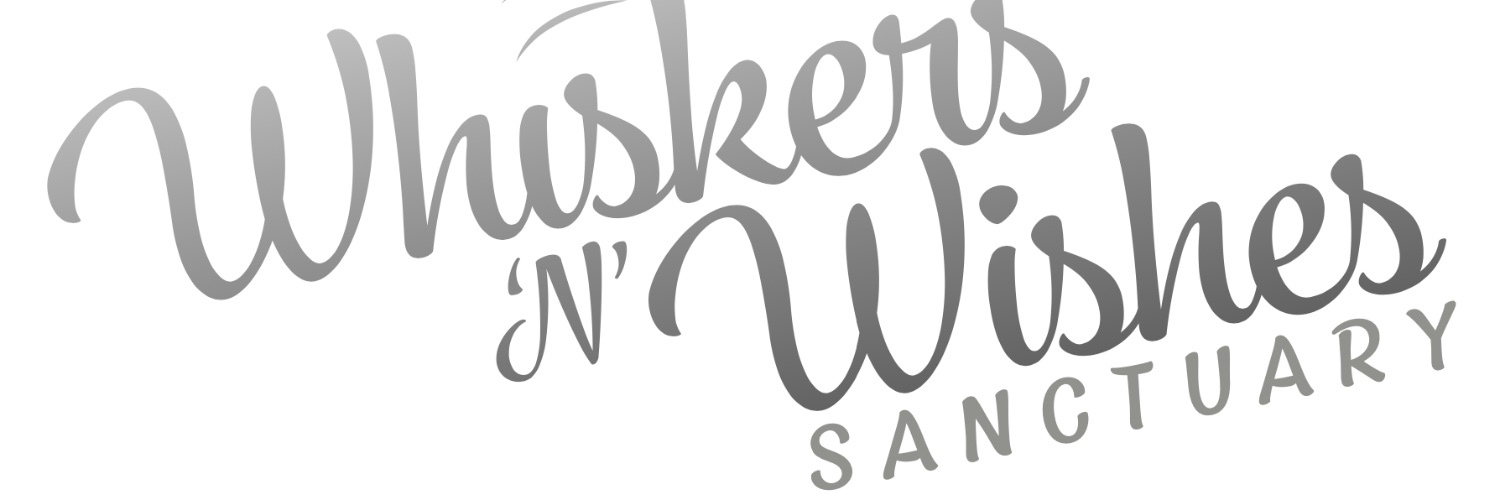 Whiskers 'N' Wishes Sanctuary's banner