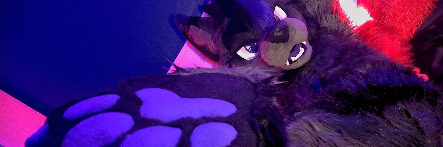 TheBlackWolfs 🔞🏳️‍🌈 / 🔜FCD🇫🇷, MFF🇺🇸's banner