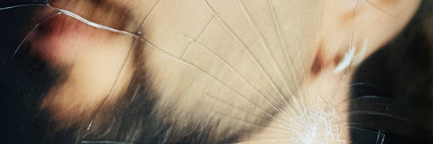 Everyday Aries's banner