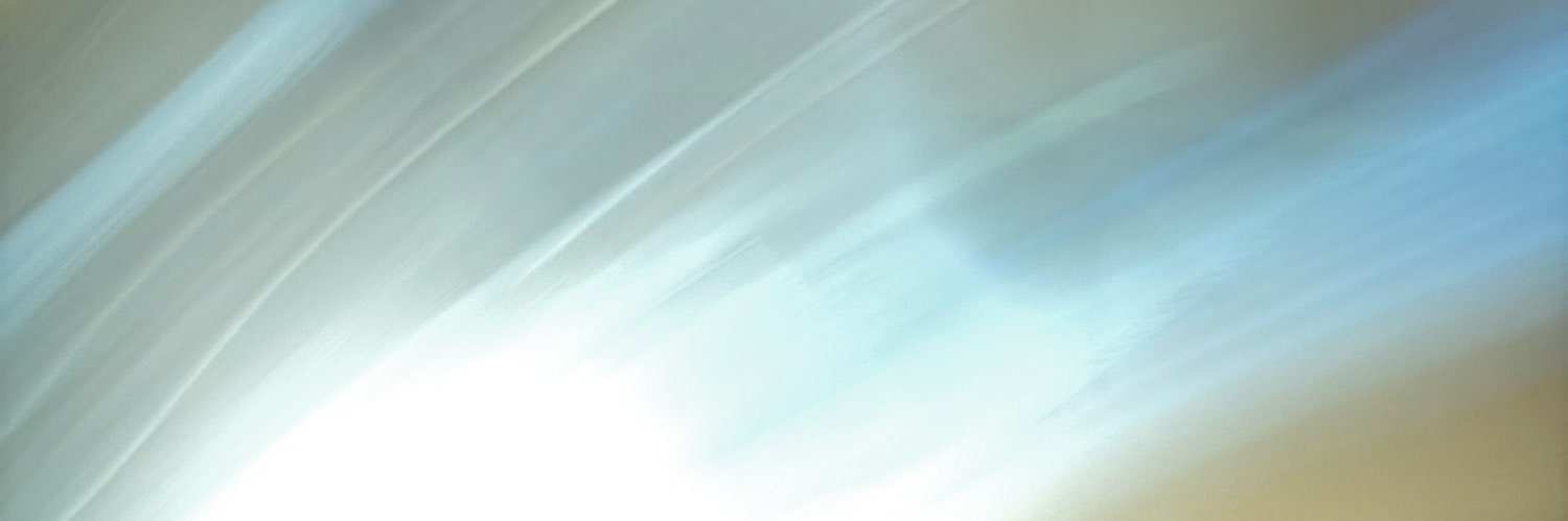 Erica🎮's banner