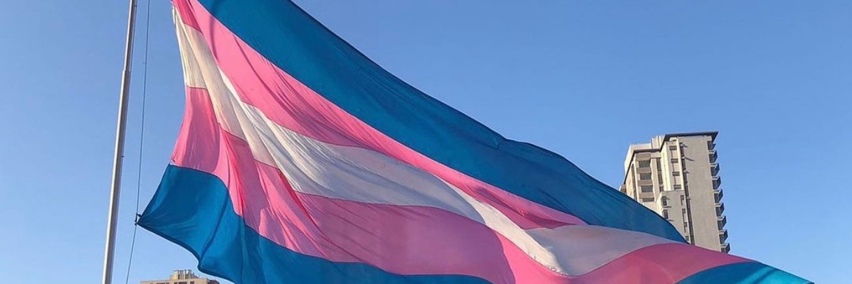 Angelina Bacilieri's banner