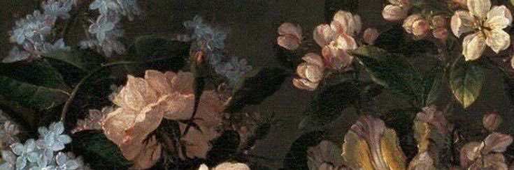 lilia🧚🏼‍♀️🌷's banner