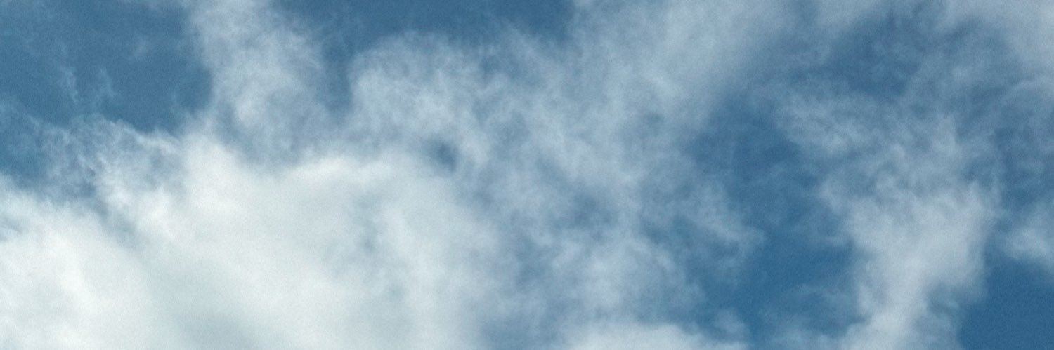 ae's banner