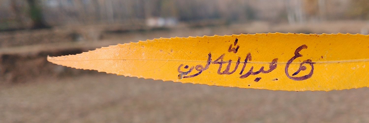 Umer Abdullah's banner