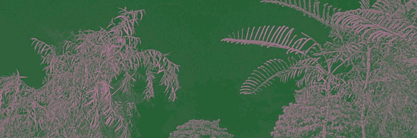 io's banner