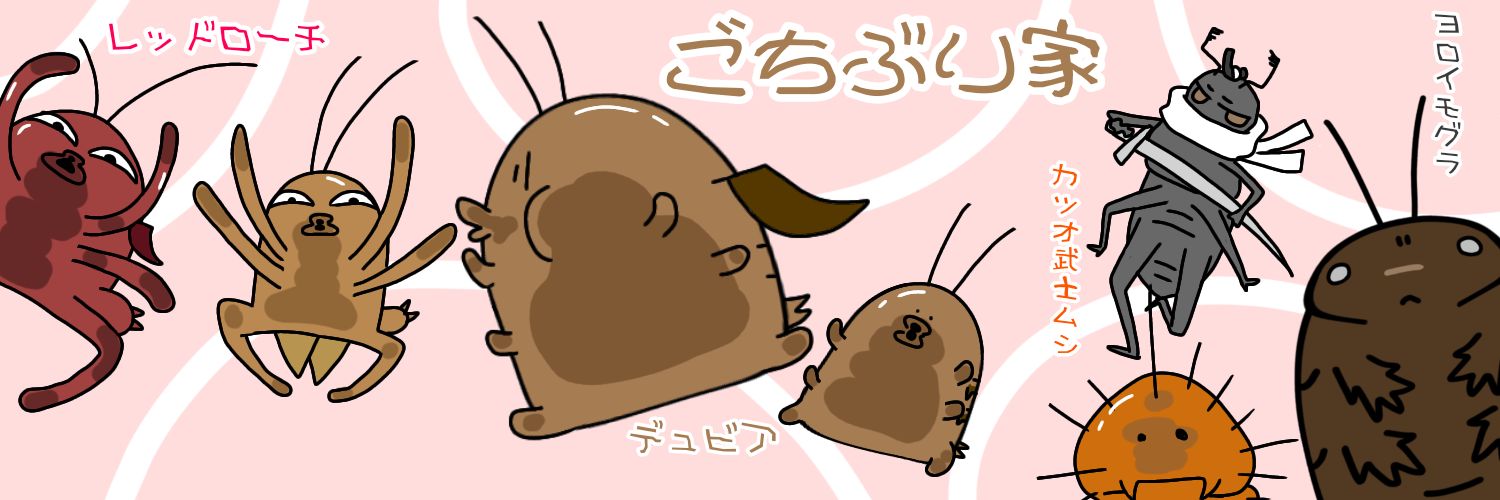 🪳ごちぶり家🪳Naaaaaaa's banner