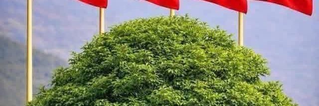 कल्पना अधिकारी's banner