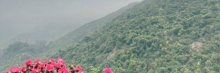 طبيب 💜 الإحساس💜's banner