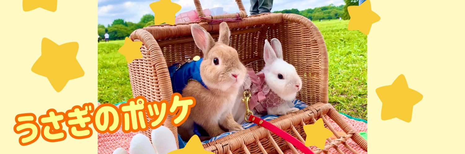 うさぎのぽっけ's banner