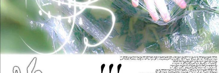 𓃠's banner