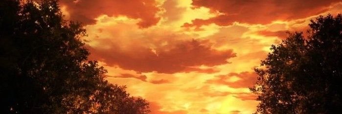 Praise's banner