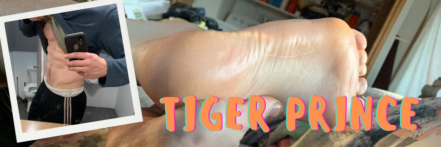 Tiger Prince 🐯's banner