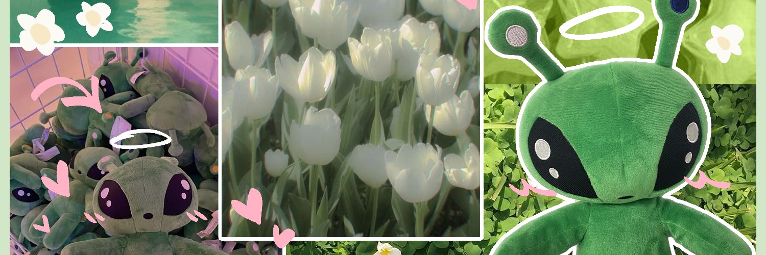 NoahAT ✿💚's banner