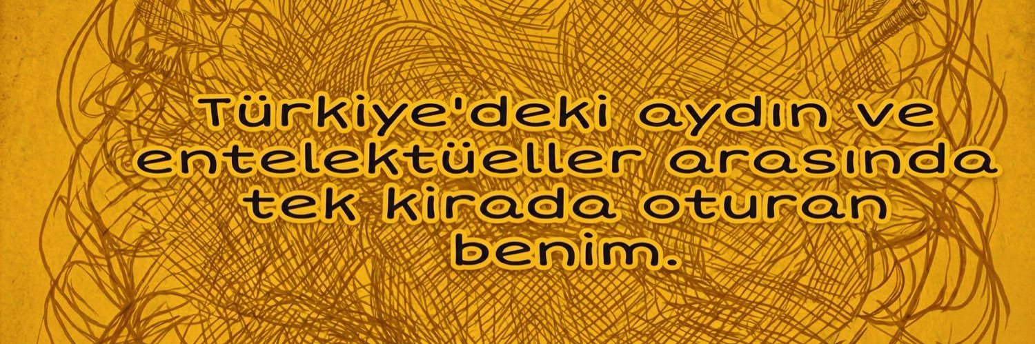 Beyinsiz's banner