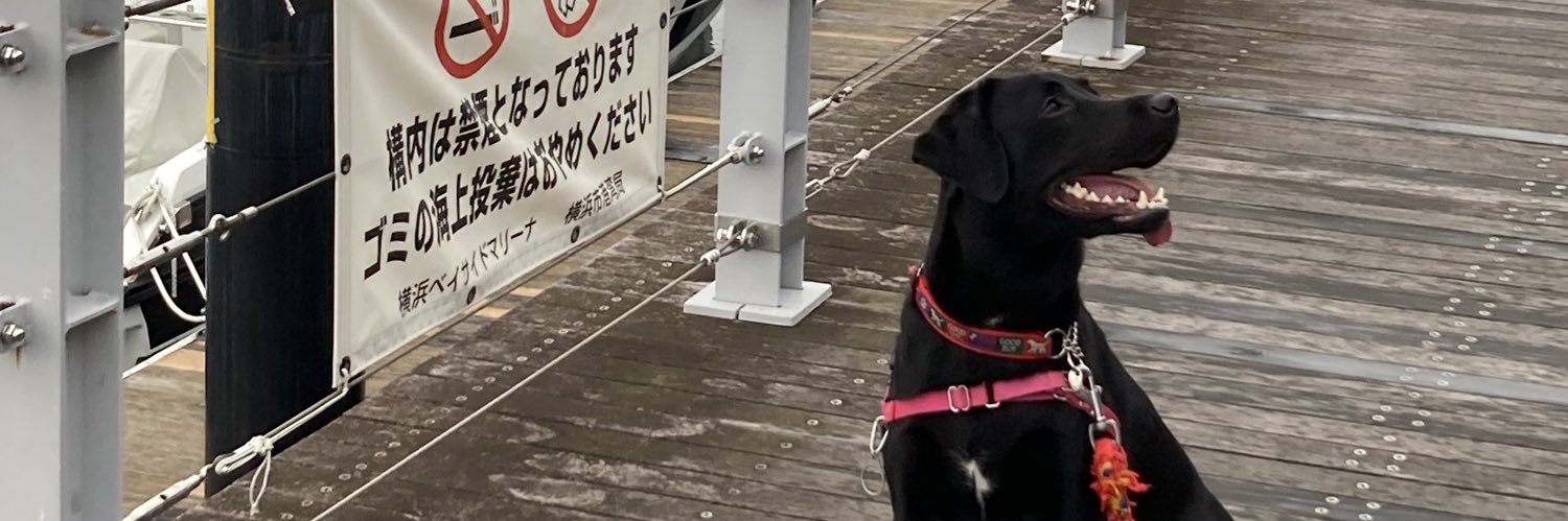 🌻メル🐕‍🦺's banner