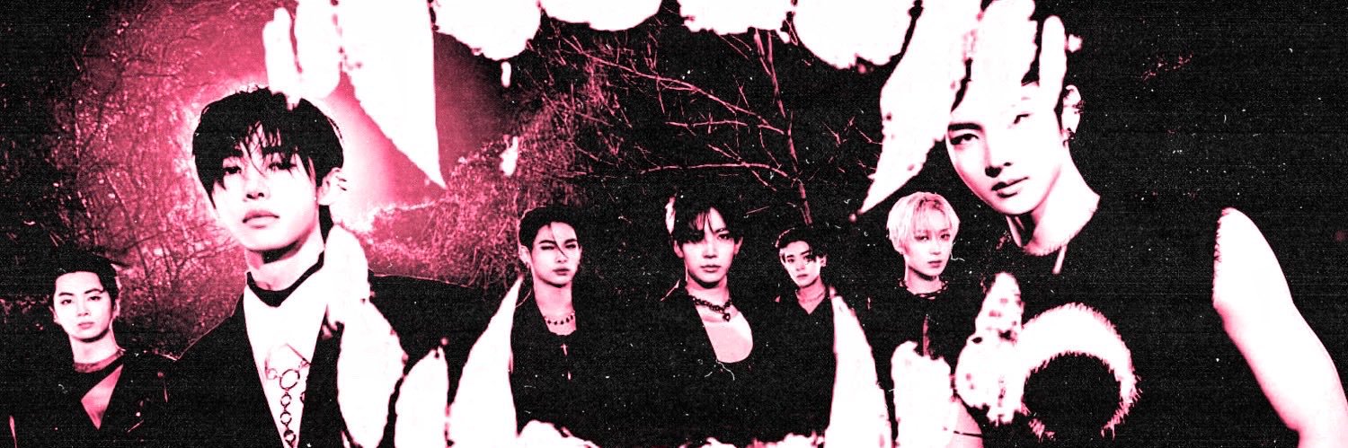saé 🐈‍⬛'s banner
