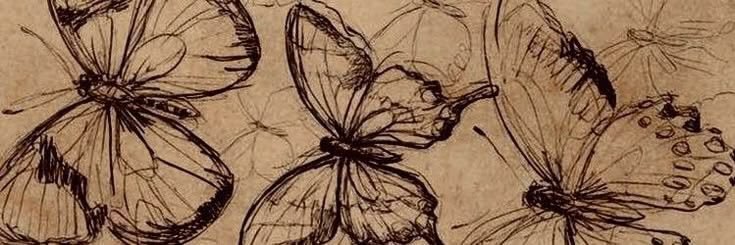 Lauren Livia's banner