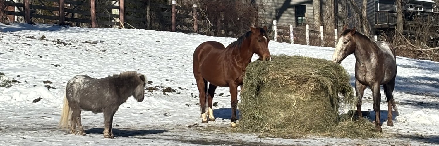 Heart and Hooves rescue/ Freedom Valley Rescue's banner