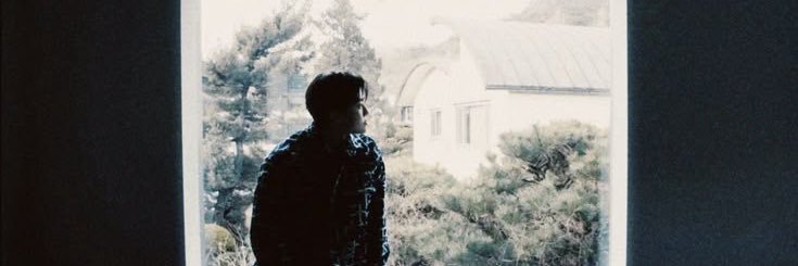 nin's banner