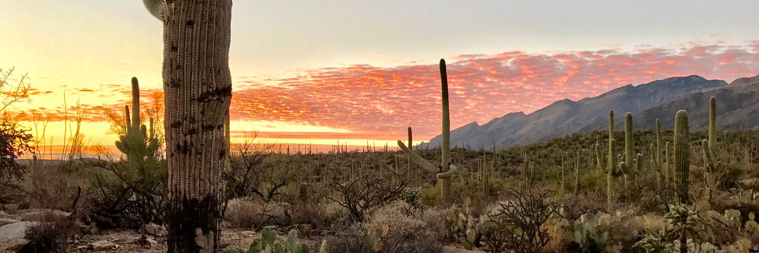 Andy Flach 🌵's banner