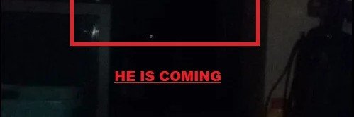 ⦻birdie loves ceviche ⦻'s banner