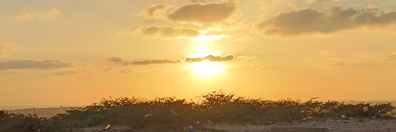‏المدغاوي's banner