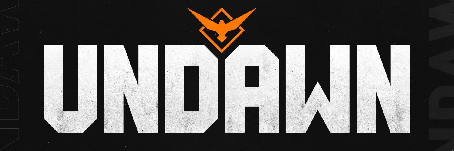 Undawn's banner