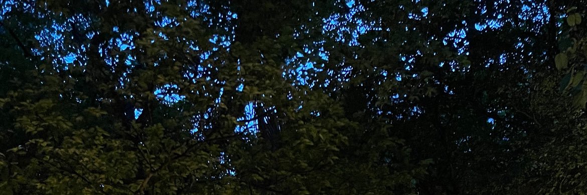 𝕲𝖚𝖘𝖙𝖆's banner