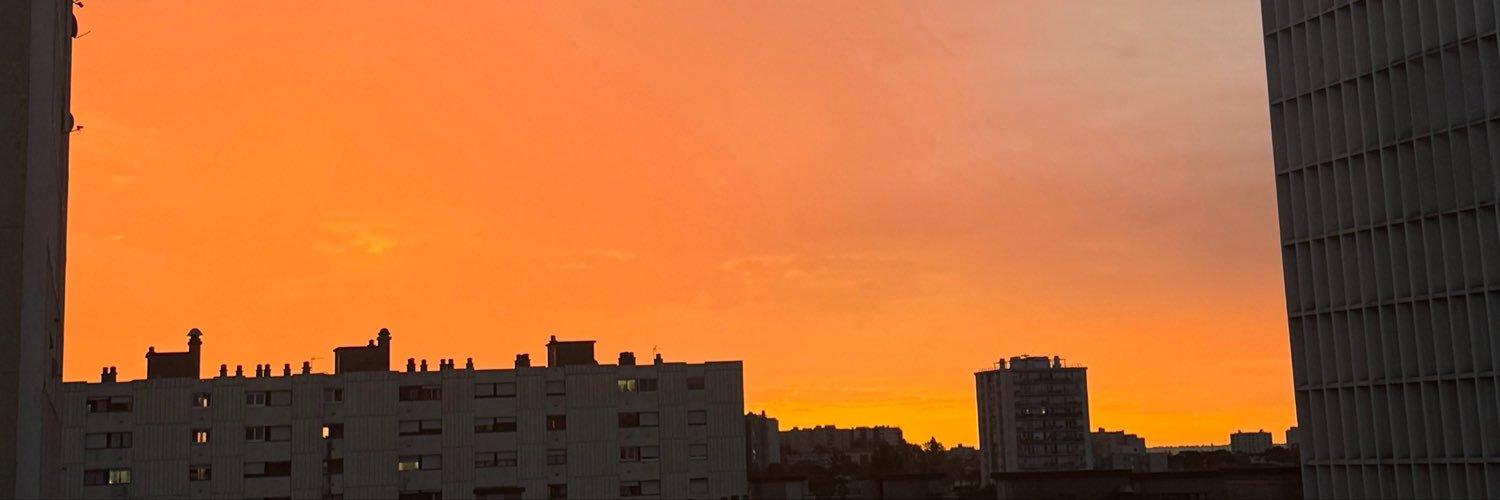 ZINO 🕊️'s banner