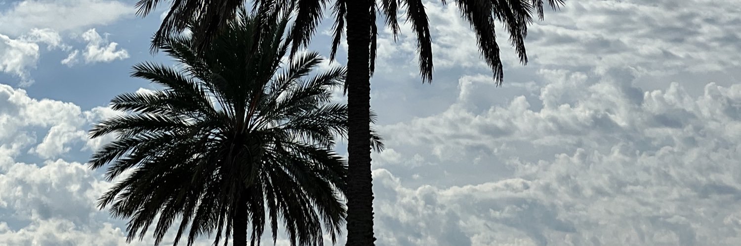 Sammi's banner