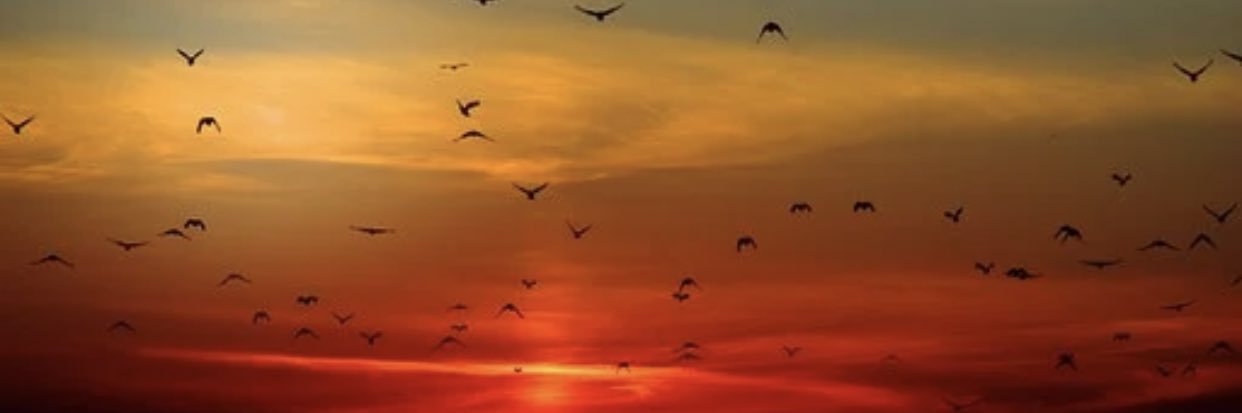 OxytocinTussi 🇺🇦 🎗️'s banner