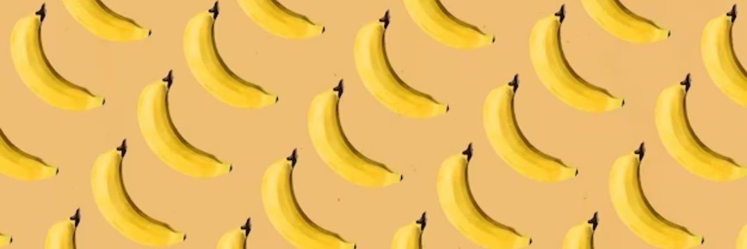 Primates's banner
